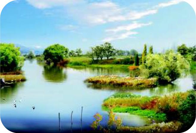 大理市洱海西岸生态湿地恢复建设工程